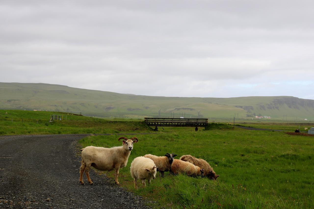 Adventure Hotel Geirland Kirkjubæjarklaustur Eksteriør bilde