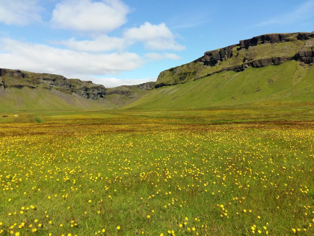 Adventure Hotel Geirland Kirkjubæjarklaustur Eksteriør bilde